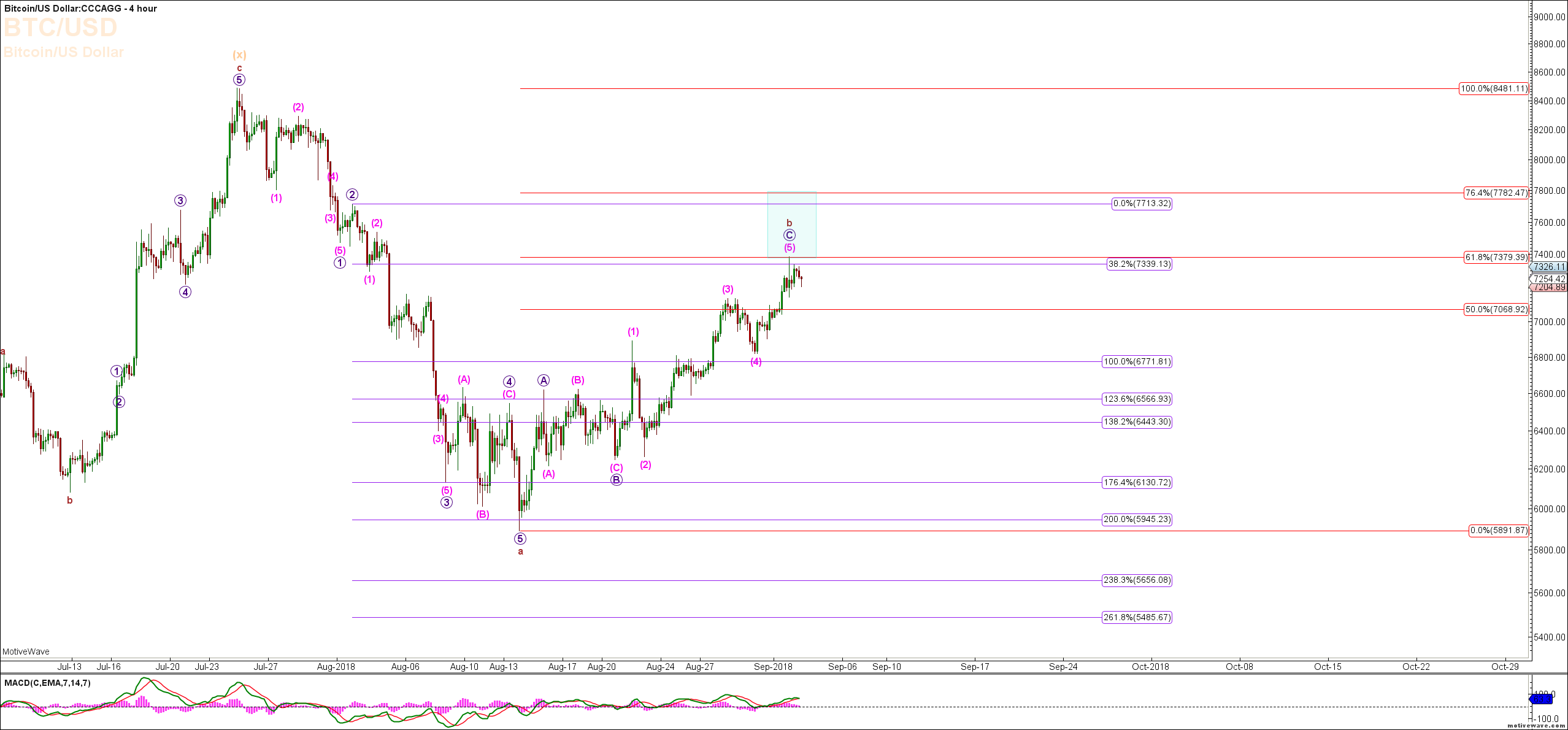 Bit Coin Charts & Morning Update