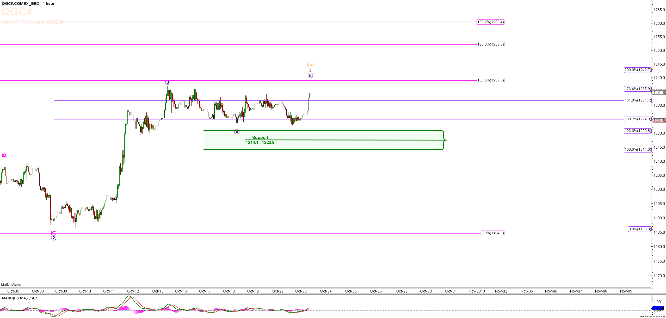 Gold GC Elliott Wave & Fibonacci Charts & Video 23rd Oct 2018