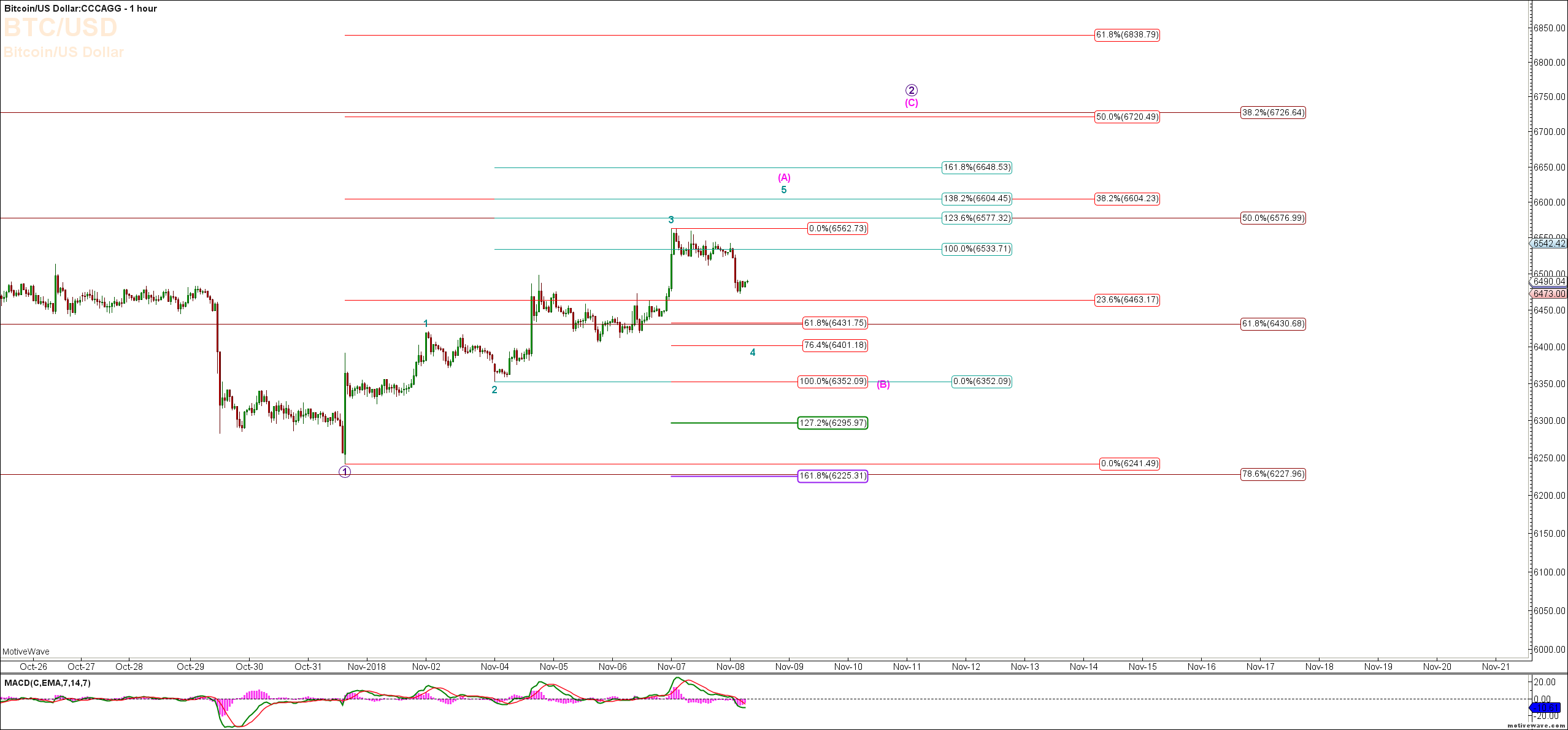 Bitcoin Elliott Wave & Fibonacci Charts & Video Update